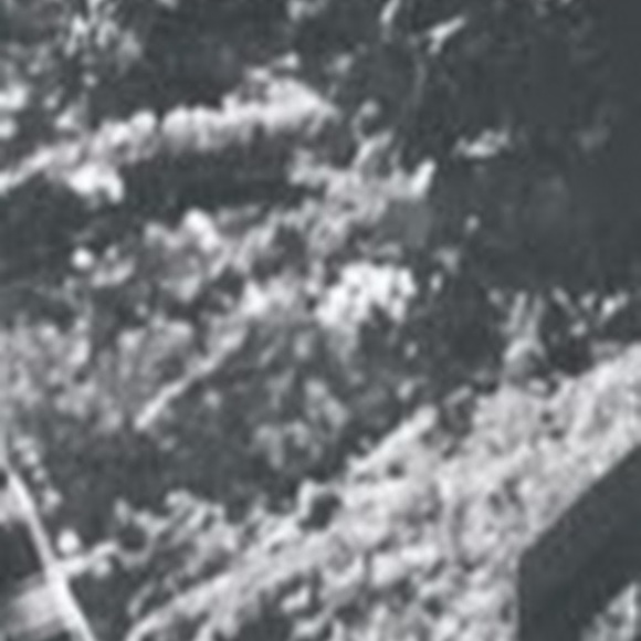 Meet your Posher, Debbie - Picture 1 of 1